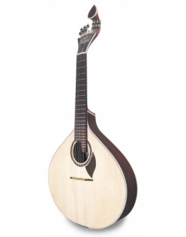 Guitarra Portuguesa Coimbra APC GF312 CB (c/Estojo)