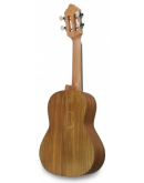 Cavaquinho Brasileiro APC BR110