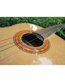 Jogo Cordas Guitarra Clássica Multicoloridas Alice A107C