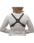 Correia Saxofone Alto | Tenor BG S41SH (Modelo Senhora)