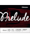 Corda Violoncelo DAddario Prelude J1012 3/4M Ré (D)