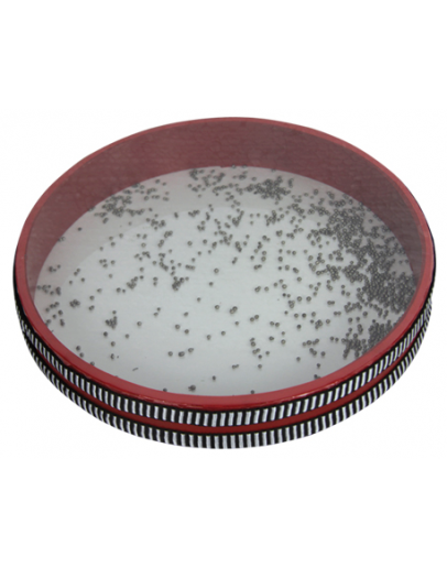 Ocean Drum 25cm DB0741