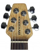 Travel Guitar DV Mark DV Little Guitar G1 CRS