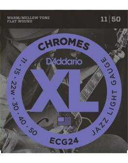 Jogo Cordas Guitarra Elétrica DAddario ECG24