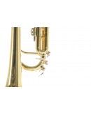 Trompete Sib Roy Benson TR-101