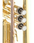 Trompete Sib Roy Benson TR-101