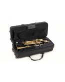 Trompete Sib Roy Benson TR-101