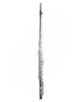 Flauta Transversal Roy Benson FL602E