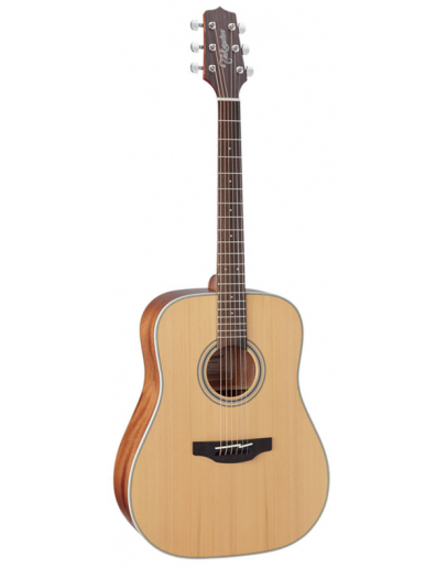 Guitarra Acústica Takamine GD20-NS