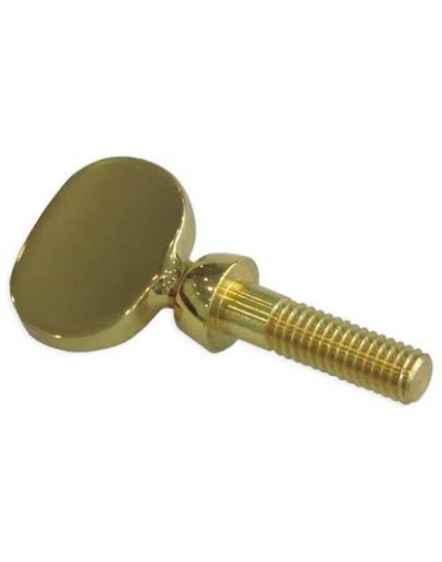 Parafuso Tudel Saxofone Yamaha N1541691