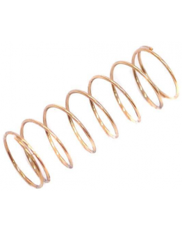 Mola Pistão Tuba | Bombardino Yamaha G0141070