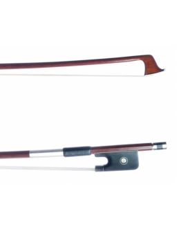 Arcos Viola Corina YAC02