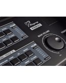 Orgão Ringway RS800