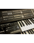 Orgão Ringway RS800