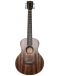 Travel Guitar Bones BAC-200 Ébano